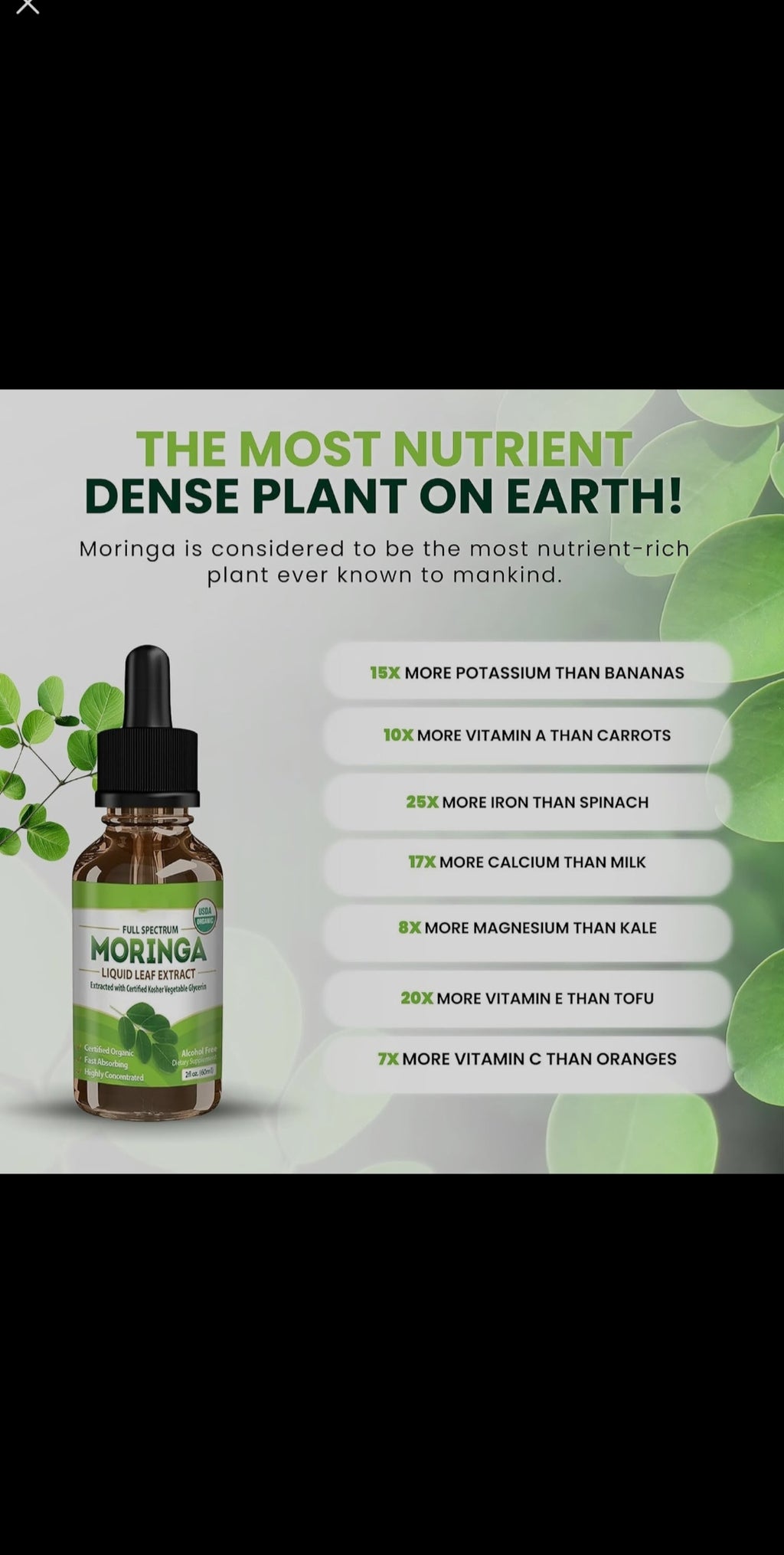 Moringa Leaf Drops Moringa Powder Drops